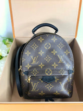 Load image into Gallery viewer, Louis Vuitton Palm Springs mini
