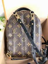 Load image into Gallery viewer, Louis Vuitton Palm Springs mini