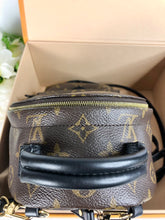 Load image into Gallery viewer, Louis Vuitton Palm Springs mini