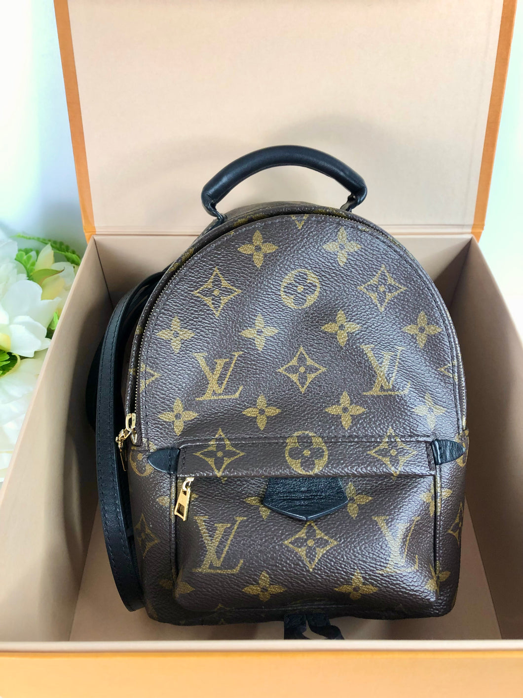 Louis Vuitton Palm Springs mini, full set