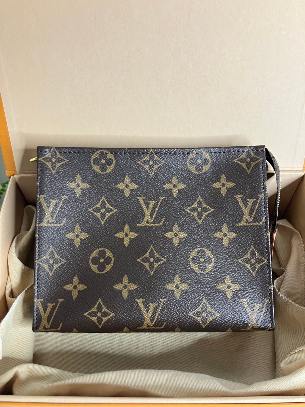 Louis Vuitton toiletry 19