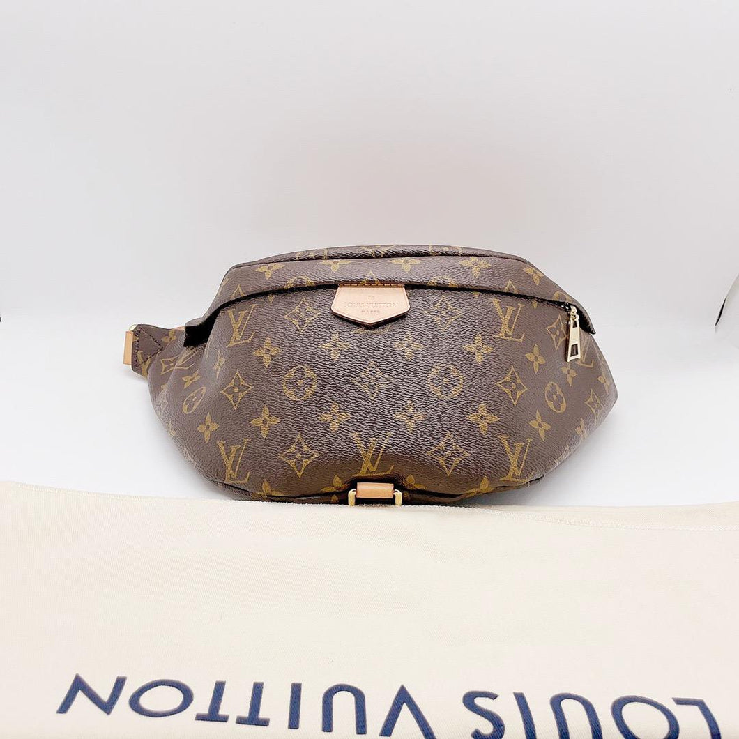 Louis Vuitton bumbag